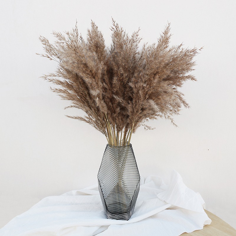 Florist Supply Vases - 10 шт. разноцветных натуральных тростников и