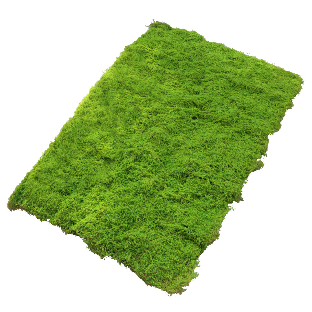 Искусственный газон из имитаци – обзор и цена Preserved Moss Sheet