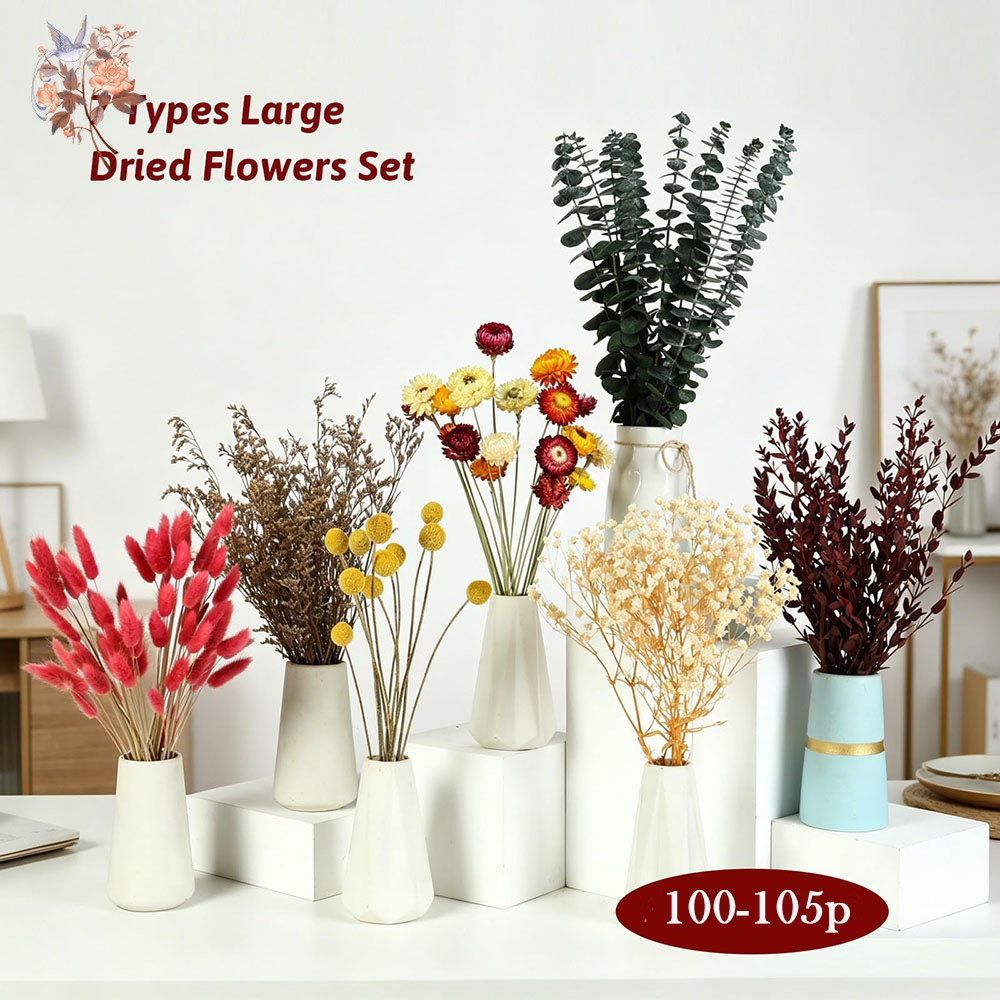 Набор сухоцветов оптом, 7 видо – обзор и цена Florist Flower Supply
